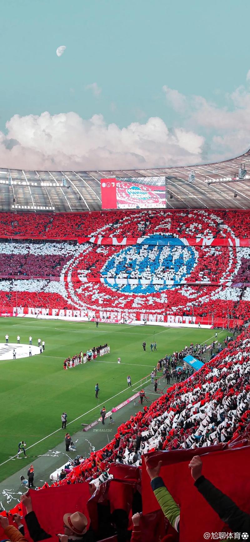 世联赛：日本女排升第3，中国女排跌至第7，意大利豪取十连胜